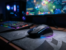 mouse gamer